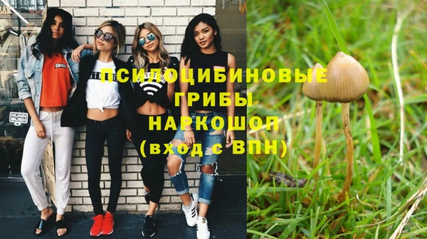 a pvp Надым