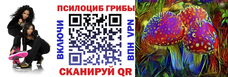 Псилоцибиновые грибы GOLDEN TEACHER  Черкесск 