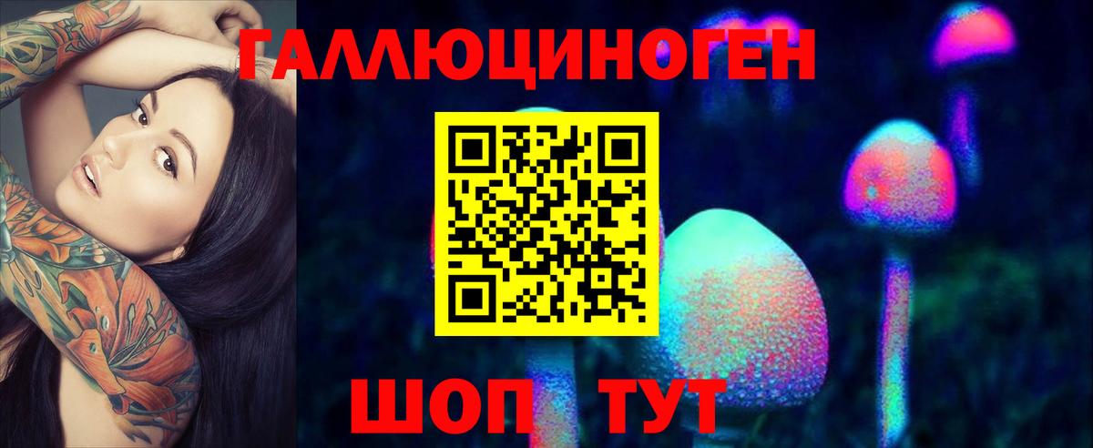 Галлюциногенные грибы Psilocybine cubensis  Вход с VPN  Черкесск 